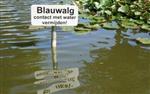 Blauwalg vastgesteld in Winterswijk
