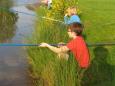 Vissen voor Kids les 4-18
