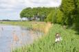 De Karper Winterswijk - Kanaal Lochem 3 4.5.2014 002