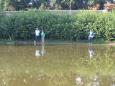 Vissen voor Kids 4 - 2014 - 09