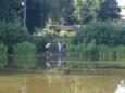 Vissen voor Kids 4 - 2014 - 10