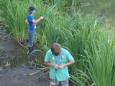 Vissen voor Kids 4 - 2014 - 11