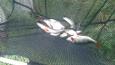 IMG-20140907-WA0008