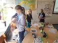 Bargerpaske 7B - 2014 - 19