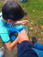 Bargerpaske 7B - 2014 - 46