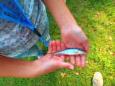 Bargerpaske groep 7A - 2014 - 56