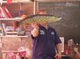 P5010775 (Small)