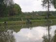 P5170852 (Small)