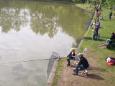 P5170824 (Small)
