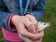 P5190911 (Small)