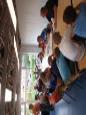 Vissen voor kids 2015 -2 - 25