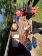 Hooked on Fishing Cup 2015 - 18