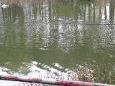 DSCN3641 (Small)