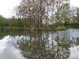 DSCN3650 (Small)