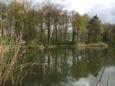IMG 4235 (Small)