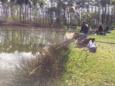 IMG 4239 (Small)