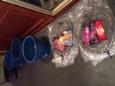 IMG 4241 (Small)