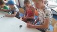 Vissen voor Kids - les1 -36