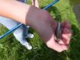 DSCN6274 (Small)