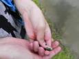 DSCN6286 (Small)