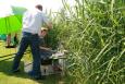 IMG 5056 (Small)