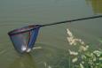 IMG 5073 (Small)