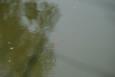 IMG 5089 (Small)