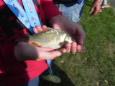 DSCN6669 (Small)