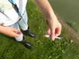 DSCN6674 (Small)