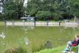 IMG 0732