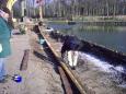 PIC00241