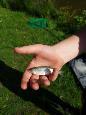 20220515_095928.jpg