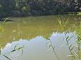 20220626_095536.jpg