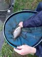 Hooked on Fishing cup 2022-06.jpeg