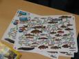Vissen voor Kids les 3 l-5