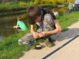 Vissen voor Kids les 4-7