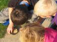 Vissen voor Kids les 4-8