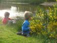 Vissen voor Kids les 4-22
