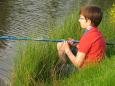 Vissen voor Kids les 4-25
