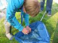 Vissen voor Kids les 4-28