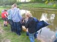 Vissen voor Kids les 4-34