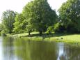 Jeugdselectiewedstrijd  - 2013 - 7