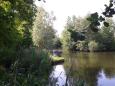 Biezenplas  - 2013 - 5