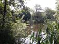 Biezenplas  - 2013 - 8