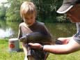 Biezenplas  - 2013 - 15