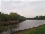 Viswateren in Winterswijk